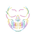 Sugar Skull Makeup Ideas for Halloween Sexy Women Face Eyes Adhesive Skeleton Rhinestone Jewel Glitter Tattoo Sticker